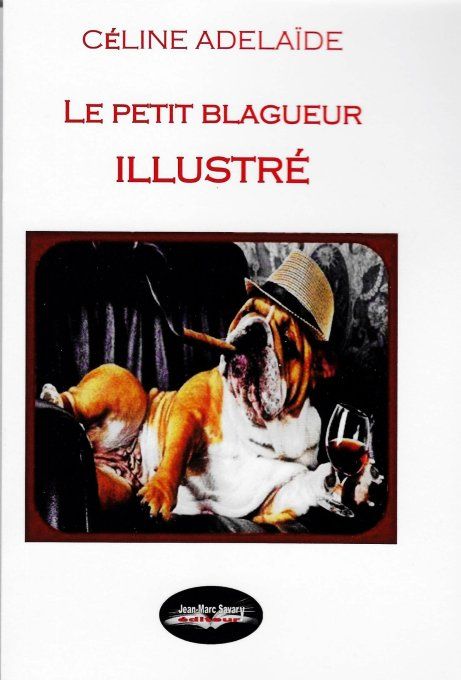 Le petit blagueur illustré