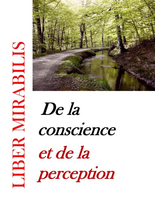 DE LA CONSCIENCE ET DE LA PERCEPTION